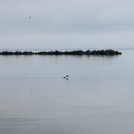 5 Min From The Water's Edge Strøby Ladeplads