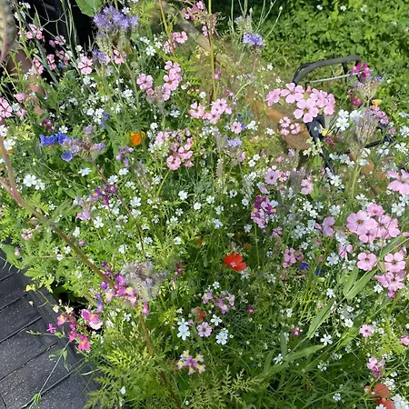 5 Min From The Water's Edge Сasa de vacaciones