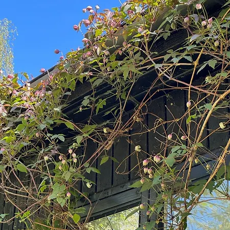 Сasa de vacaciones 5 Min From The Water's Edge